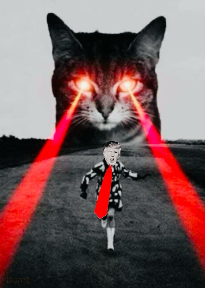Comment image