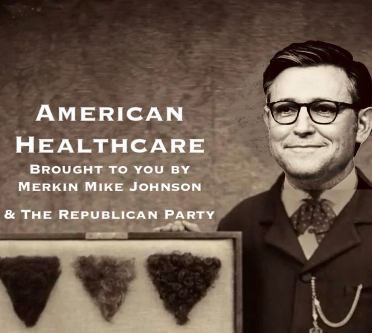 Mike Johnson posing with his carpetbag of Merkins captioned AMERICAN HEALTHCARE
BROUGHT TO YOU BY MERKIN MIKE JOHNSON & THE REPUBLICAN PARTY