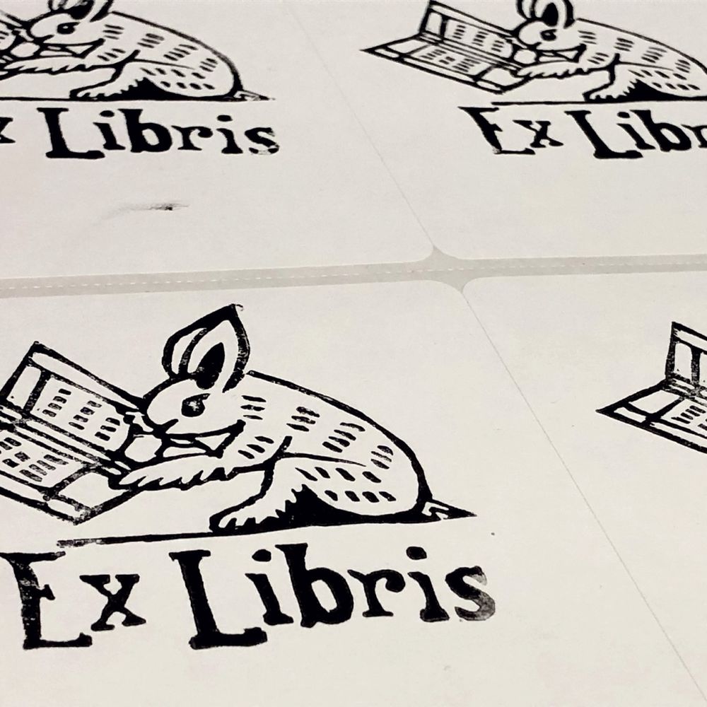 An extreme angle photo of a label sheet of 3 1/4 x 4 labels showing a block print of a medieval marginalia bunny sitting and reading a book over the words “Ex Libris” on the labels