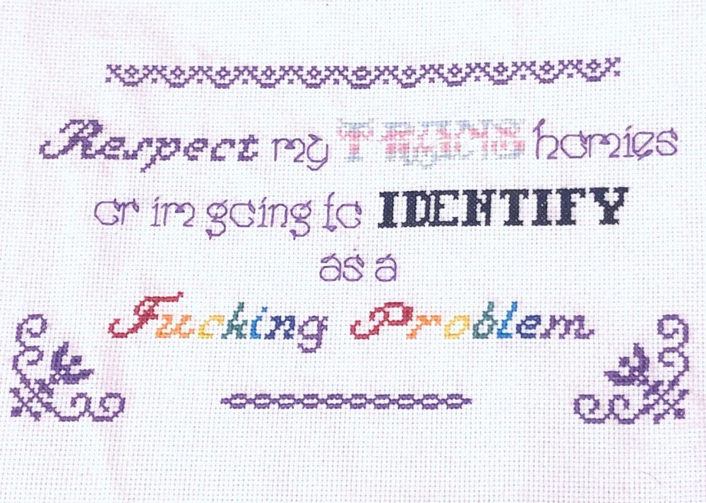 A cross stitch piece, that reads “respect my teans homies or I’m houng to identify as a fucking problem”

‘Respect’ is in purple script, ‘trans’ is banded in the colors of the trans pride flag, ‘identify’ is in bold black caps, and ‘fucking problem’ is also in cusive script and flows through the colors of the rainbow 