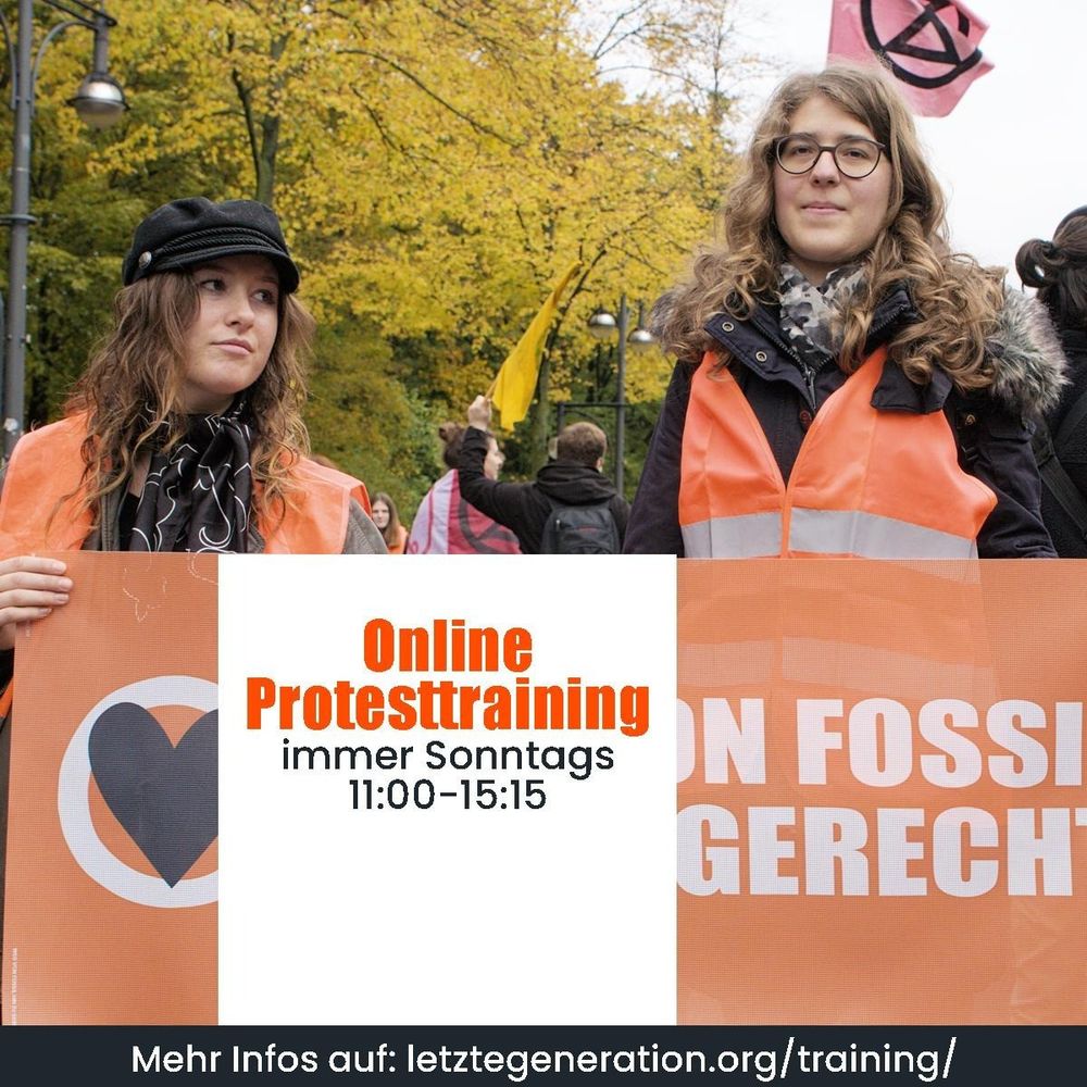 Online Protesttraining immer sonntags 11:00-15:15