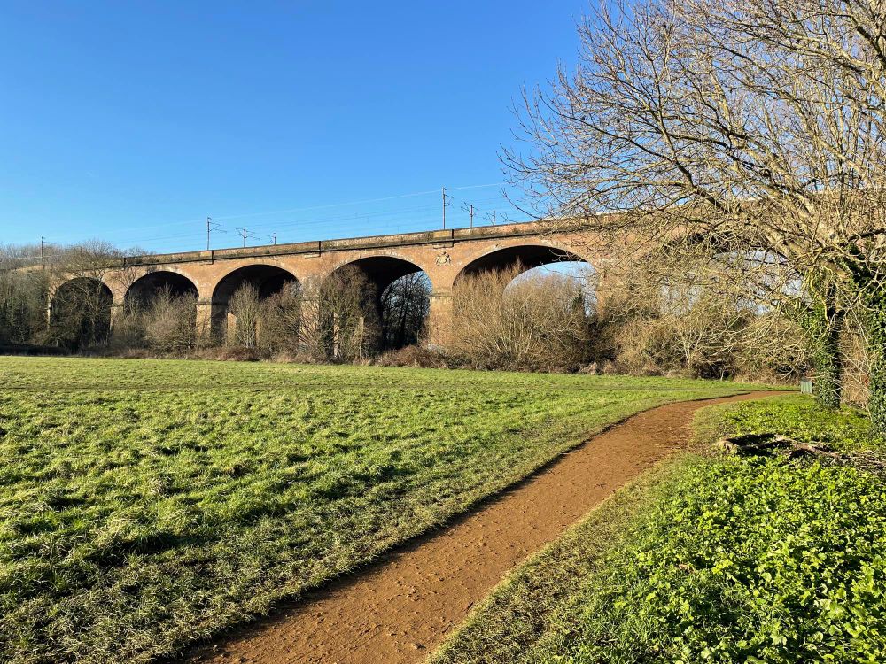 The buck arches of Wharncliffe Viaduct, golden in the sun,spanning the meadow.