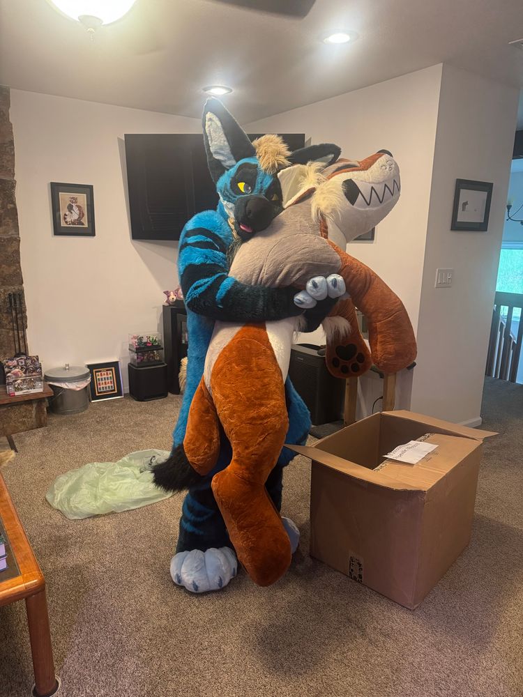 A slightly over 6’ tall striped blue hyena fursuit hugs a 6’ long coyote plush.