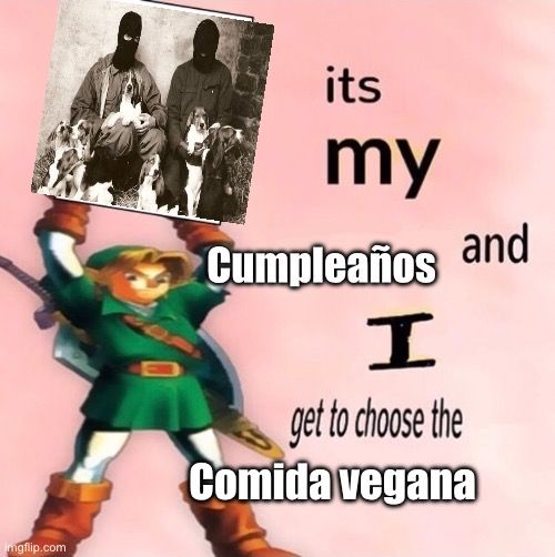 Meme of Link from Zelda holding a picture of animal rights activists captioned “It’s my birthday and I get to choose the vegan food”