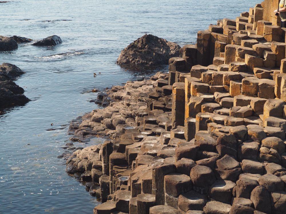 Basalt columns cresting Giant’s Causeway 