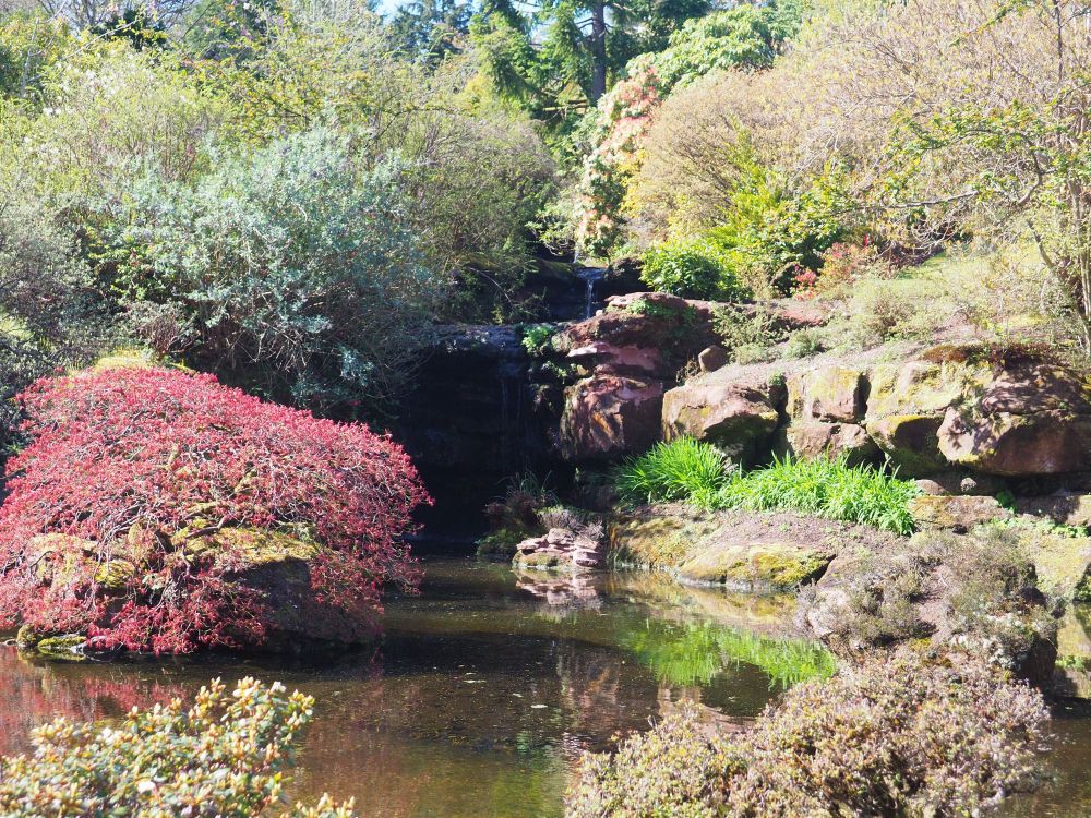 Gardens at Mount Stuart on the Isle of Bute