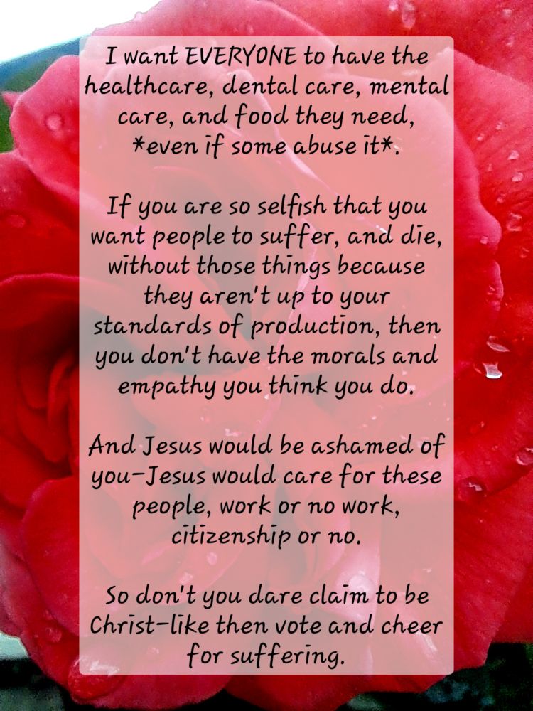 A dark pink rose is pictured with the words overtop; 
"I want EVERYONE to have the healthcare, dental care, mental care, and food they need, *even if some abuse it*.

If you are so selfish that you want people to suffer, and die, without those things because they aren't up to your standards of production, then you don't have the morals and empathy you think you do.

And Jesus would be ashamed of you-Jesus would care for these people, work or no work, citizenship or no.

So don't you dare claim to be Christ-like then vote and cheer for suffering."