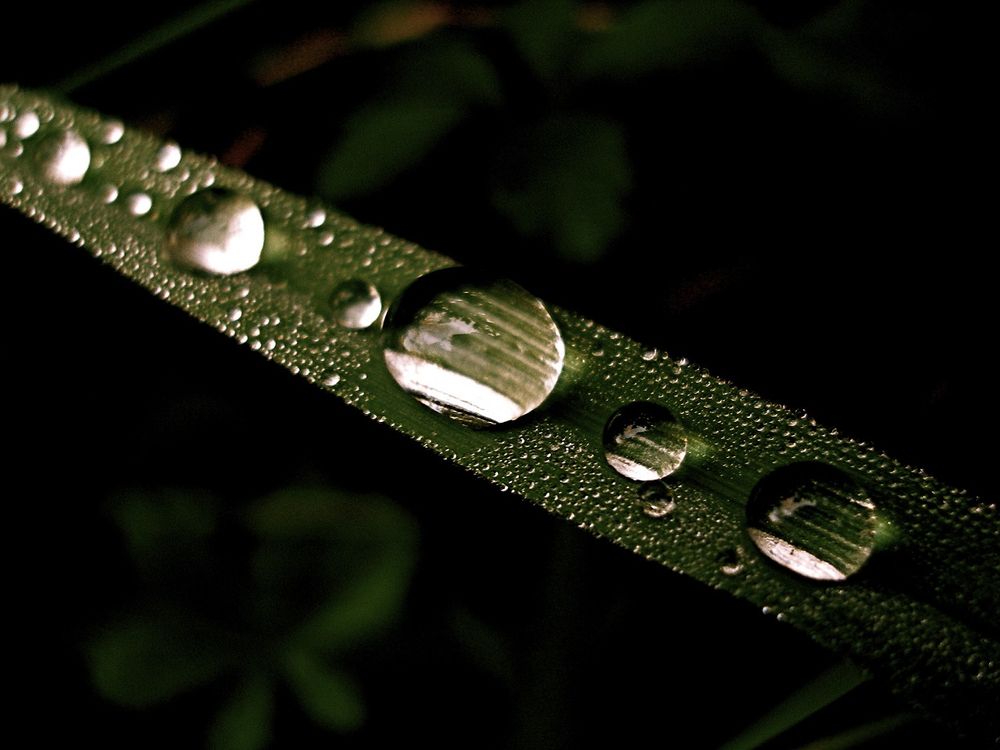 Gotas de agua 📸 © LMAP 