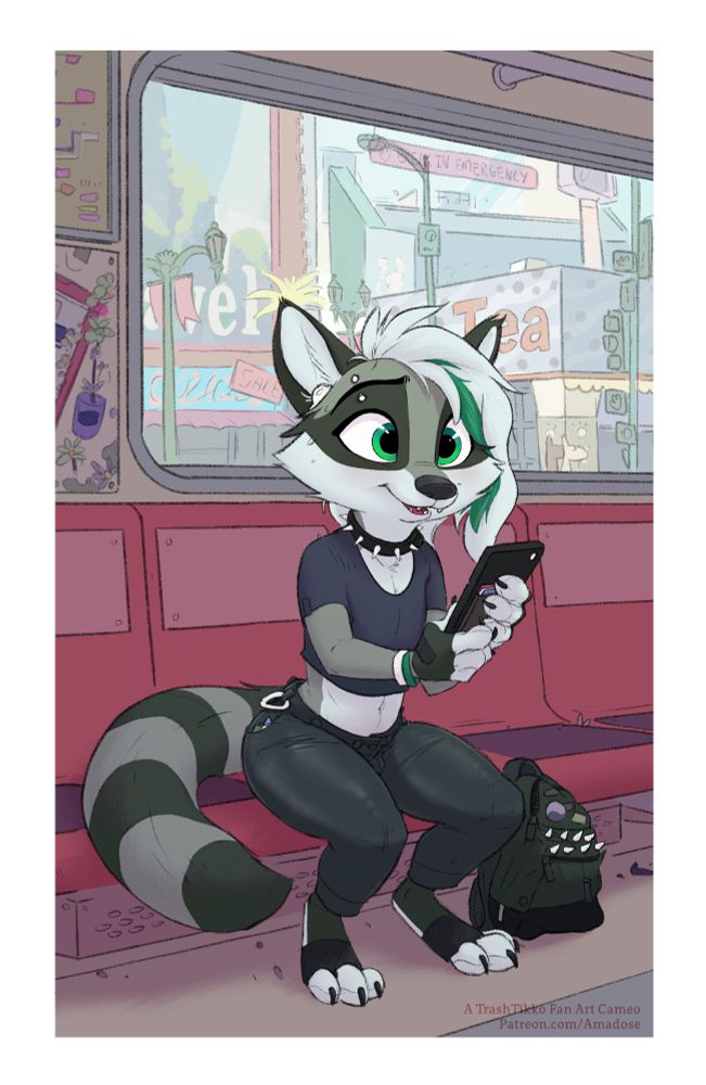 TrashTikko on their phone.