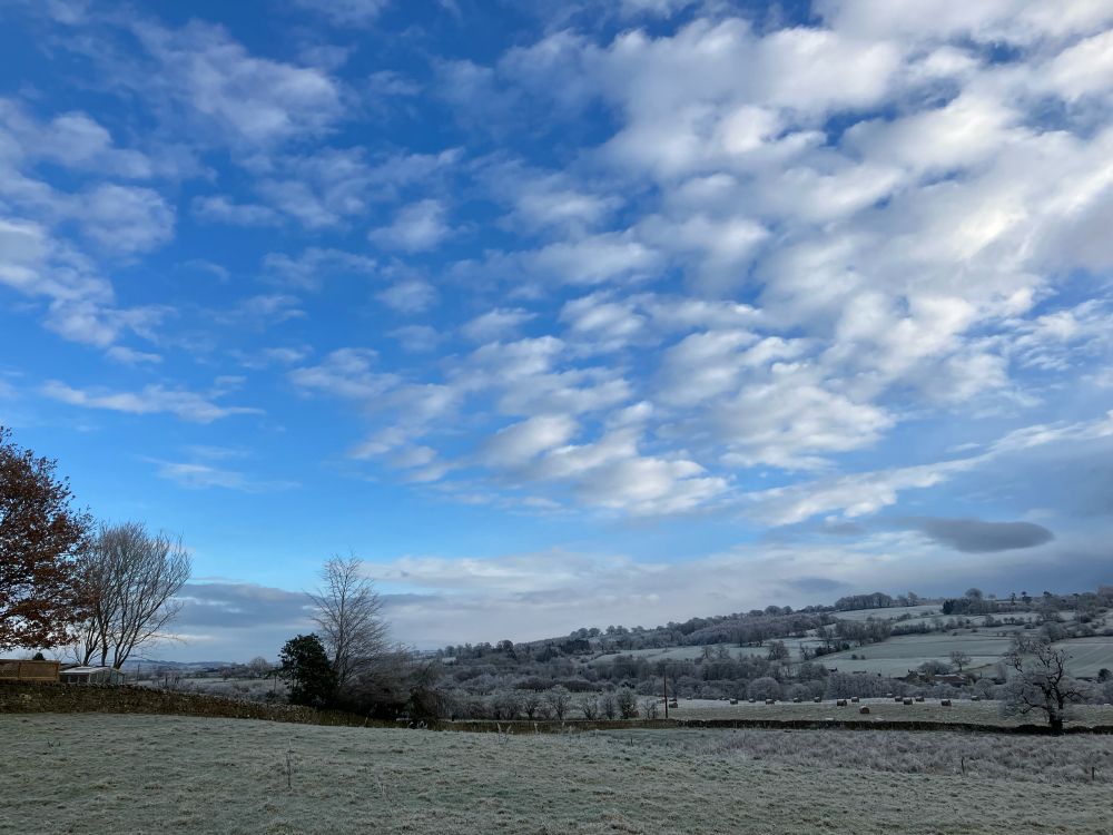 Soft green hoar frost on the fields under cotton white clouds and blue skies, December. View from the front door.