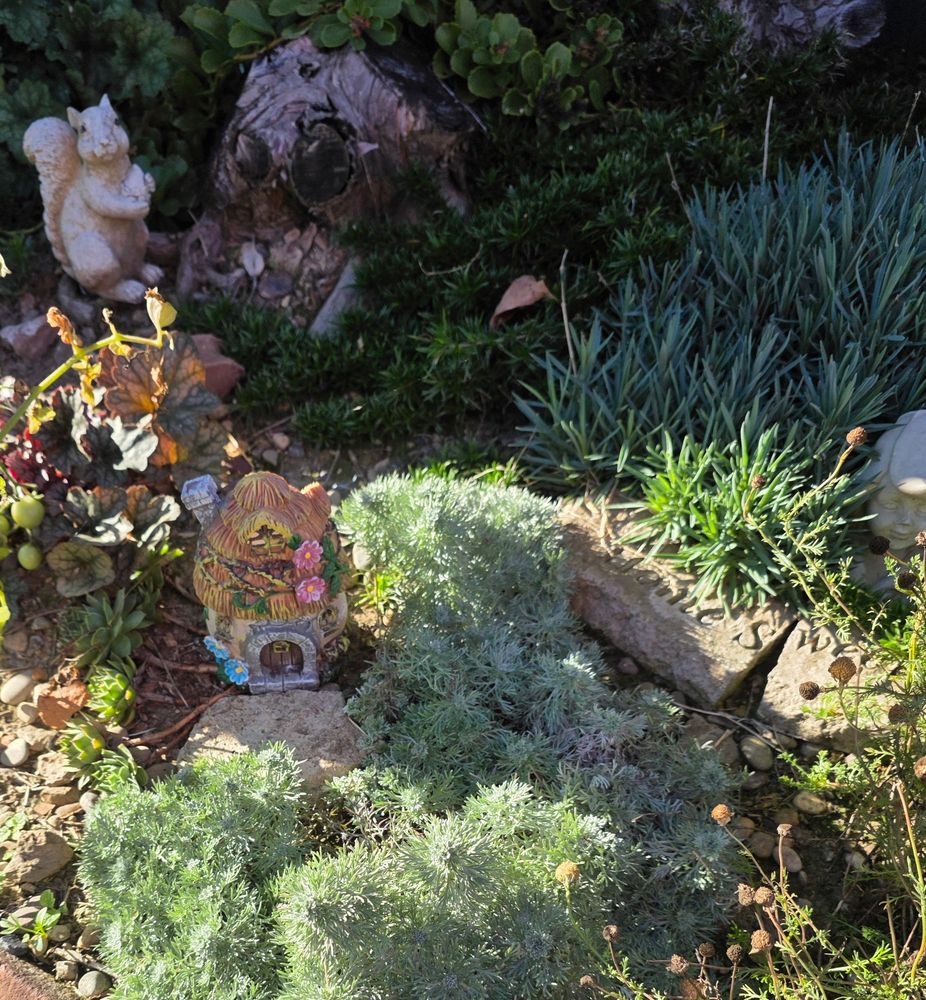 Small garden area with silvermound, chamomile, dianthus, coral bells, creeping phlox, a resin squirrel, and a small figure of a fairy house 