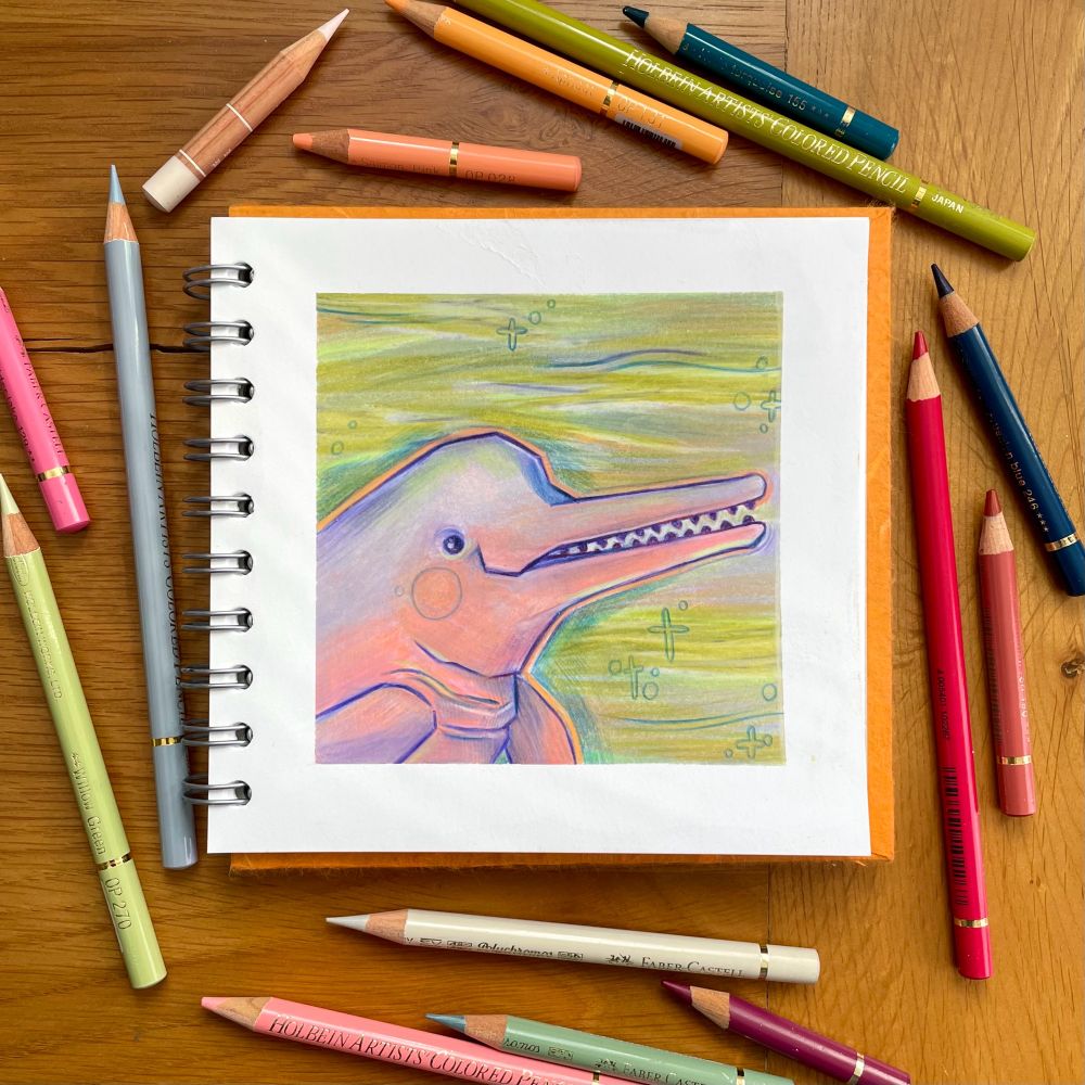Illustration of an Amazon River Dolphin