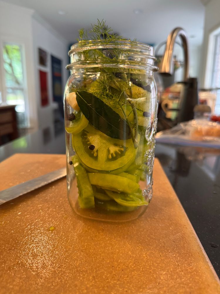 Clear jar with sliced bright green tomatoes, bay leaf, peppercorns & fresh dill sprig