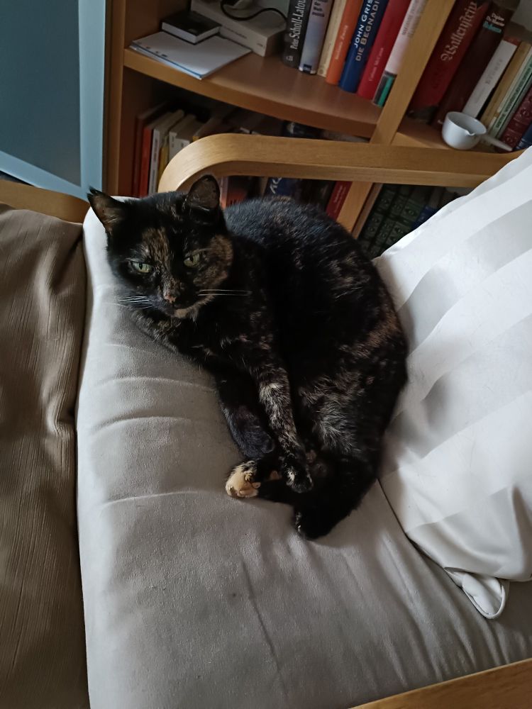 A picture of a cat that has dark brown fur with light brown spots and green eyes. The cat is lying on a beige armchair.
