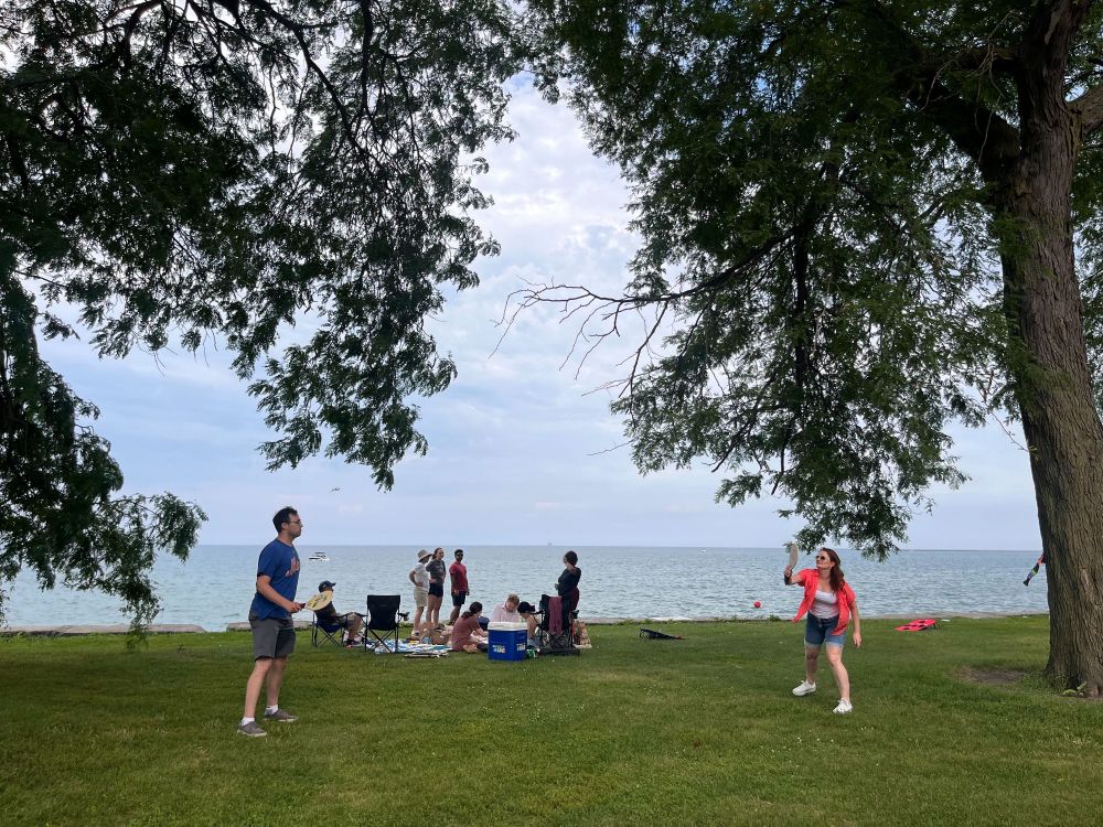 Yard games on the grass