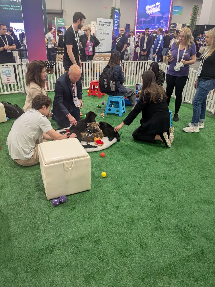 A green floor with puppies snuggled up in a little pile being petted by people.