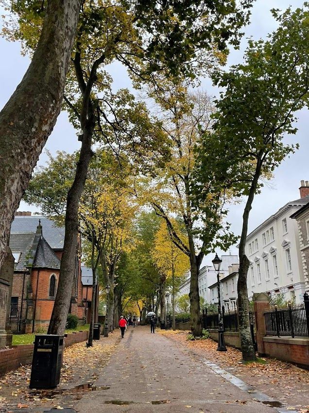 A pedestrian street in Leicester, with trees and buildings on either sides. The trees have yellow autumnal colours and some leaves have fallen to the ground. 