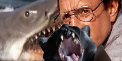 A scene from Jaws ‘come down here and chum some of this ***’ with a black cat in the foreground screaming.