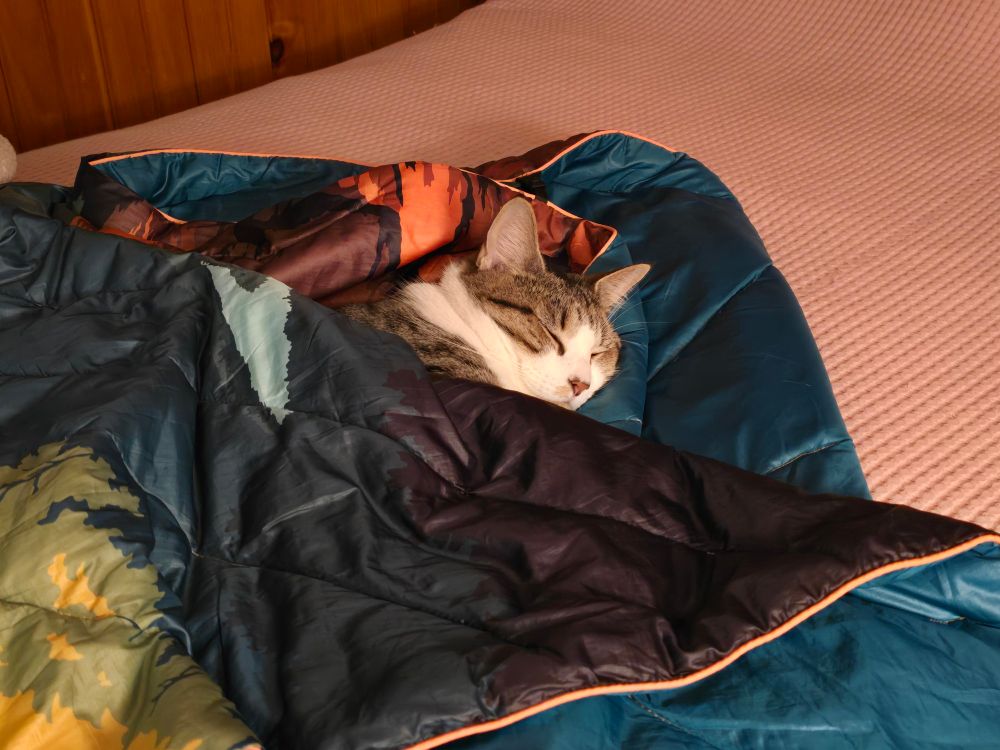 Khonsu actually sleeping in my Rumpl blanket.