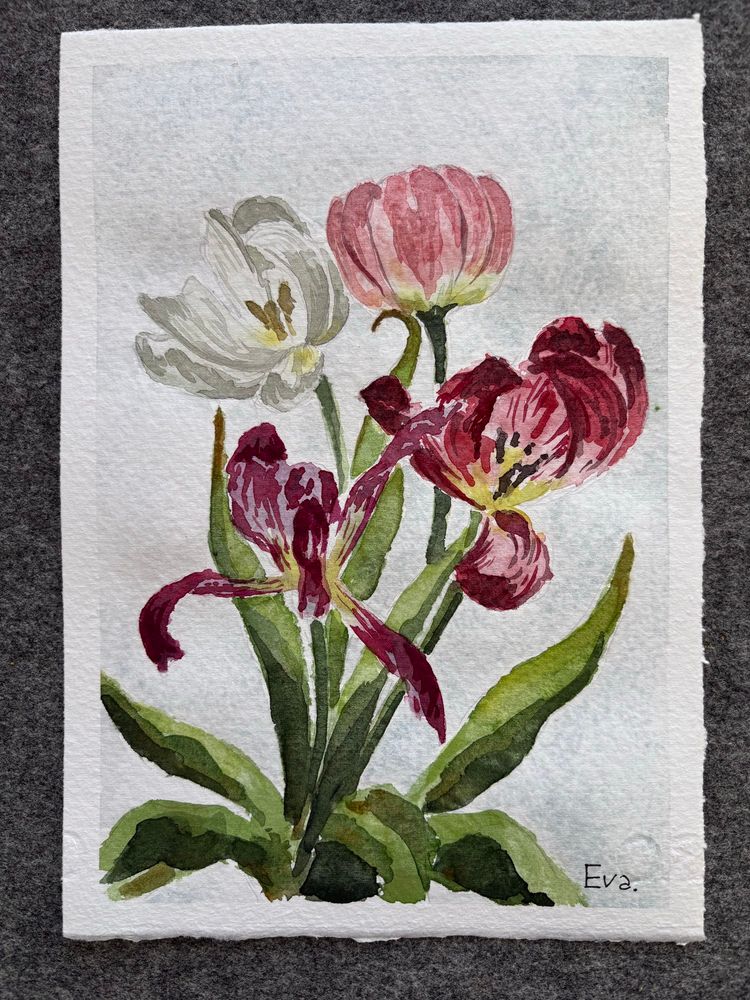 Watercolor painting of tulips, shedding petals