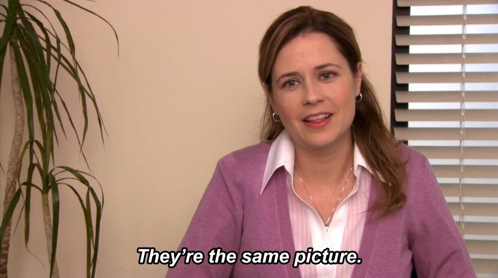 "They're the same picture" meme from The Office 