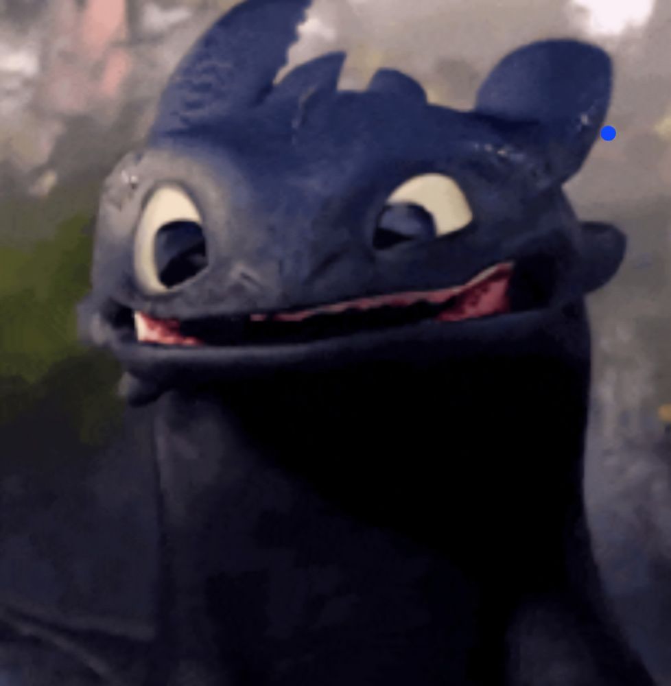 Toothless from How to Tame Your Dragon with her eyes squinted up funny. 