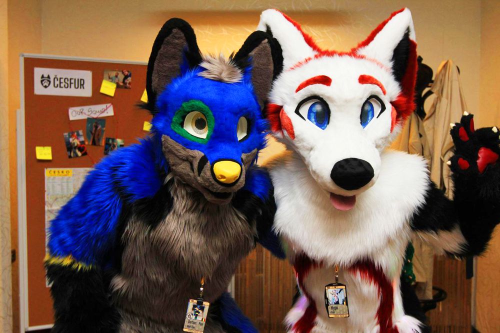A blue fox fursuiter, standing next to a white red fursuiter. They are crouching to be in the picture of the camera.