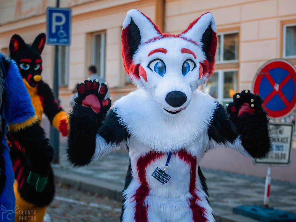 A white, red and black fox fursuiter ready to pounce into the weekend!
There are roadsigns in the back and other fursuits around.
