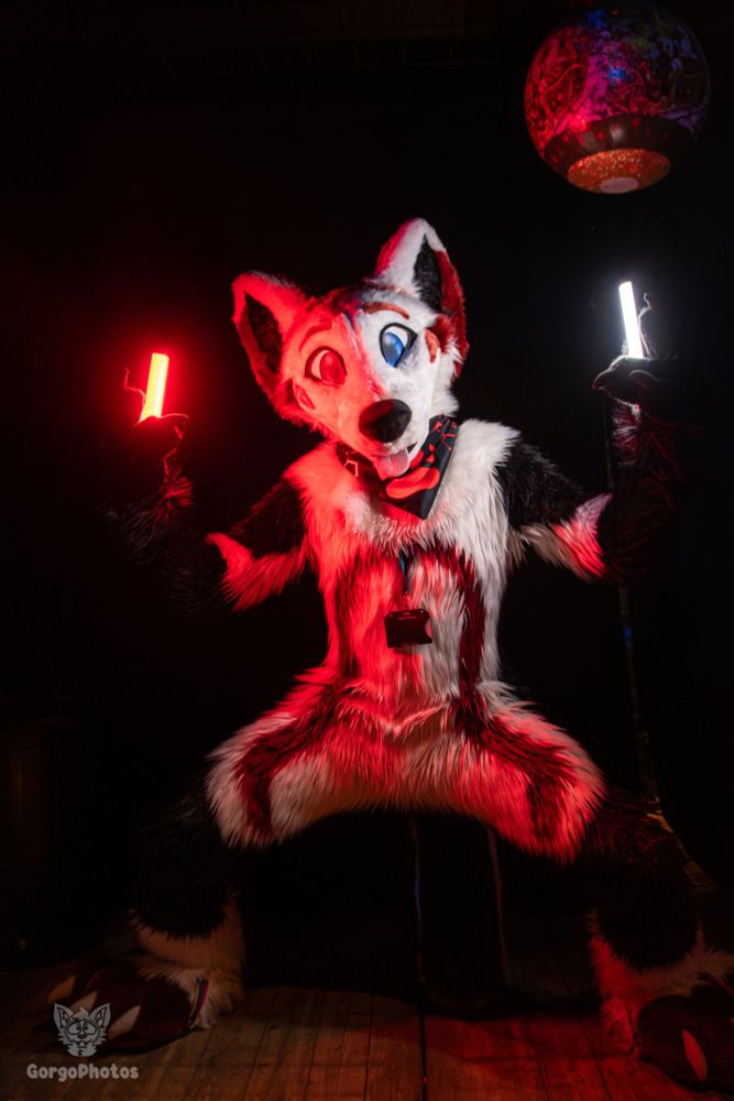 A fox fursuit standing with two LED lights in his hands, one red and one white light. The fox is colored white, black with a red pattern.