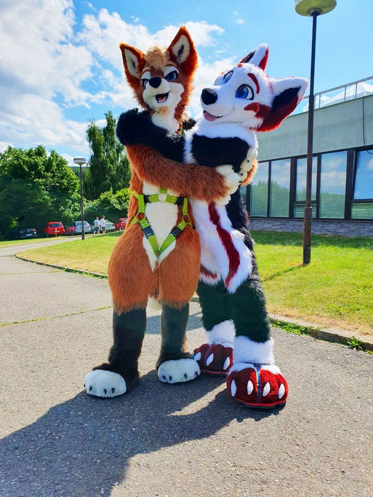 Two fursuiters standing in front of grass area in front of a building. You can see a blue sky with clouds. The left one is a jackal fursuit with brown and white fur, the right one is a fox fursuit with white, red and black fur.