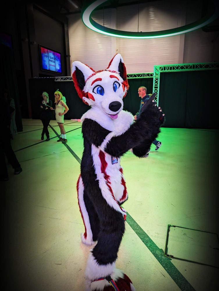 A white, red and black fox fursuiter standing with a toygun in its hand aiming upwards.