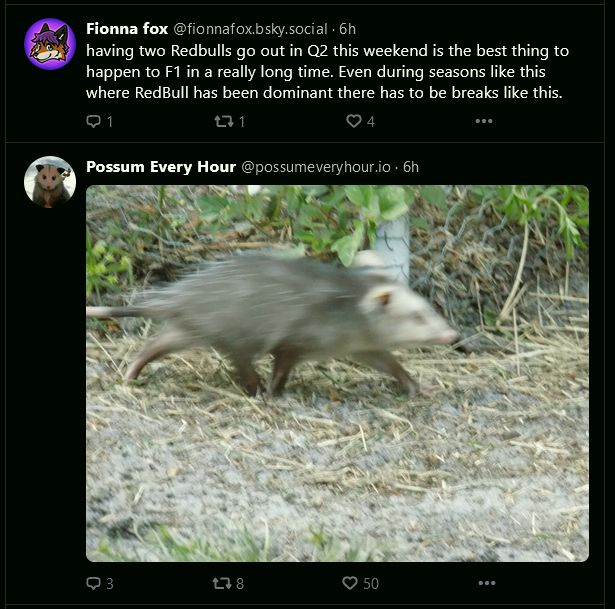 Screenshot of this post that is being replied to, and below it, a post by Possum Every Hour, of a blurry possum running really fast