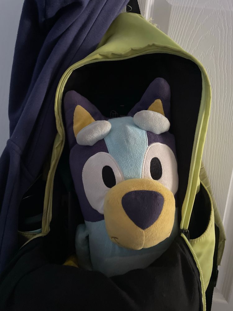 A photo of a plush toy of Bluey, a cartoon Blue Heeler puppy, inside of a green backpack on a hanger.