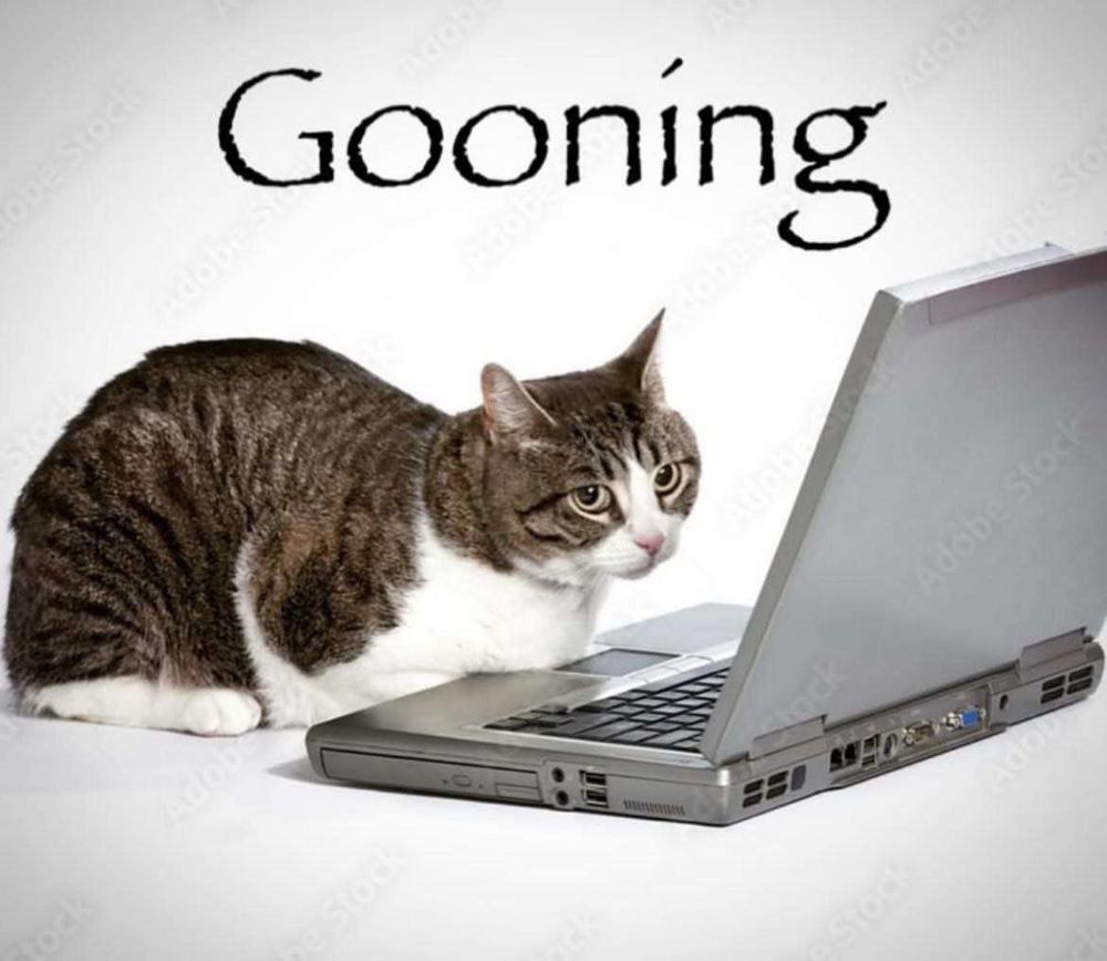 Comment image