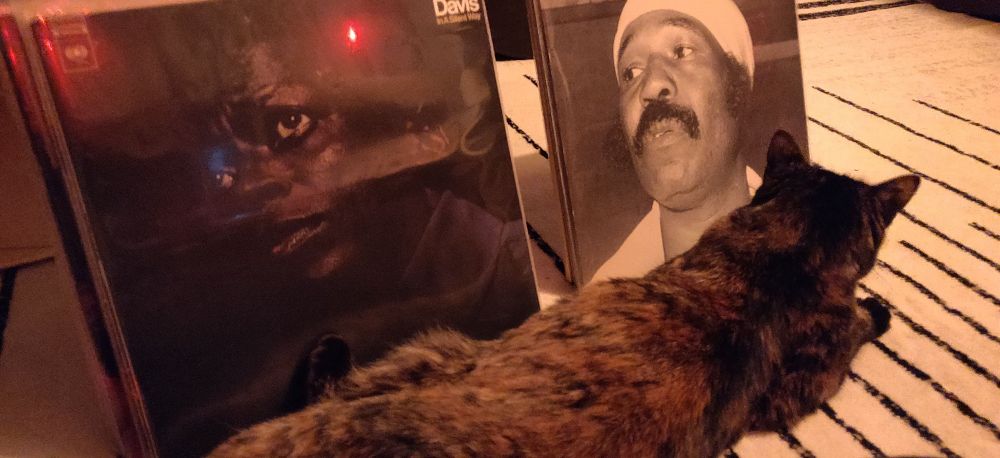 A super pretty tortoiseshell cat lays next to a couple stacks of records in the floor. Miles Davis' "In a Silent Way" and a duet record with Walt Dickerson and Sun Ra are visible.