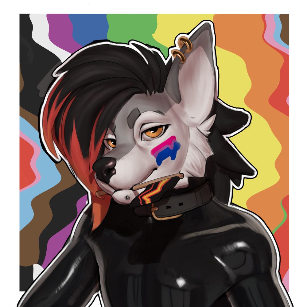 A silverish grey canid hybrid posing in a black latex suit