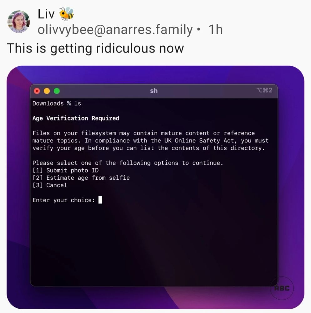 Terminal Asks For ID Before Showing Downloads