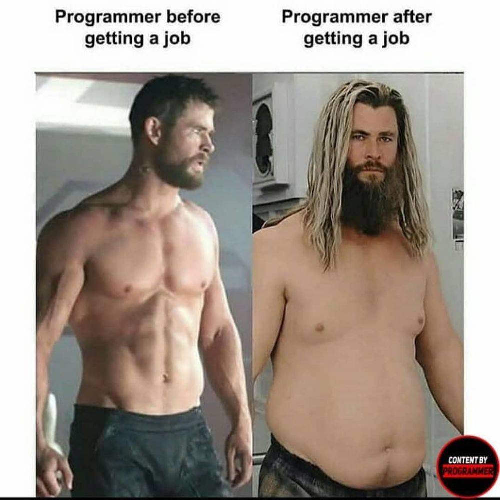 The Lifecycle Of A Developer