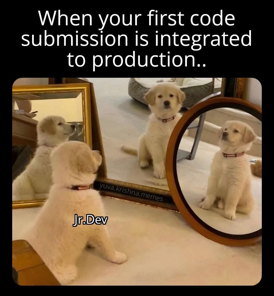 Future Senior Dev