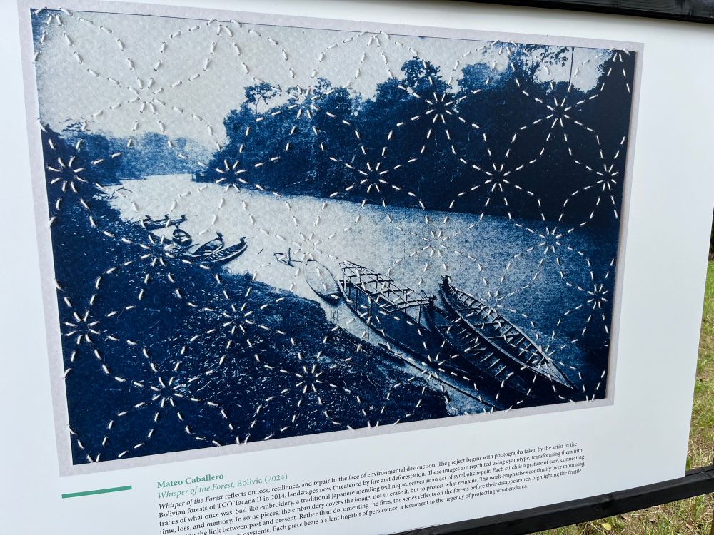 Cynotype of Bolivian forest affected by fire & deforestation overlaid with embroidery pattern of connecting flowers. 


Mateo Caballero
Whisper of the Forest, Bolivia (2024)

Whisper of the Forest reflects on loss, resilience, and repair in the face of environmental destruction. The proicct bogins with pbotographs taken by the artist in the Bolivian forests of TCO Tacana II in 2014, landscapes now threatened by fire and deforestation. These images are reprinted using cyanotype, transforming them into traces of what once was. Sashiko embroidery, a traditional Japanese mending technique, serves as an act of symbolic repuir. Each stitch is a gesture of care, connecting time, loss, and memory. In some pieces, the embroidery covers the image, not to erase it, but to protect what remains. The work emphasises continuity over reaffirming the link between past and present. Rather than documenting the fires, the series reflects on the forests before their disappearance, highlighting the fragile state of South American ecosystems. Each piece bears a silent imprint of persistence, a testament to the urgency of protecting what endures. 