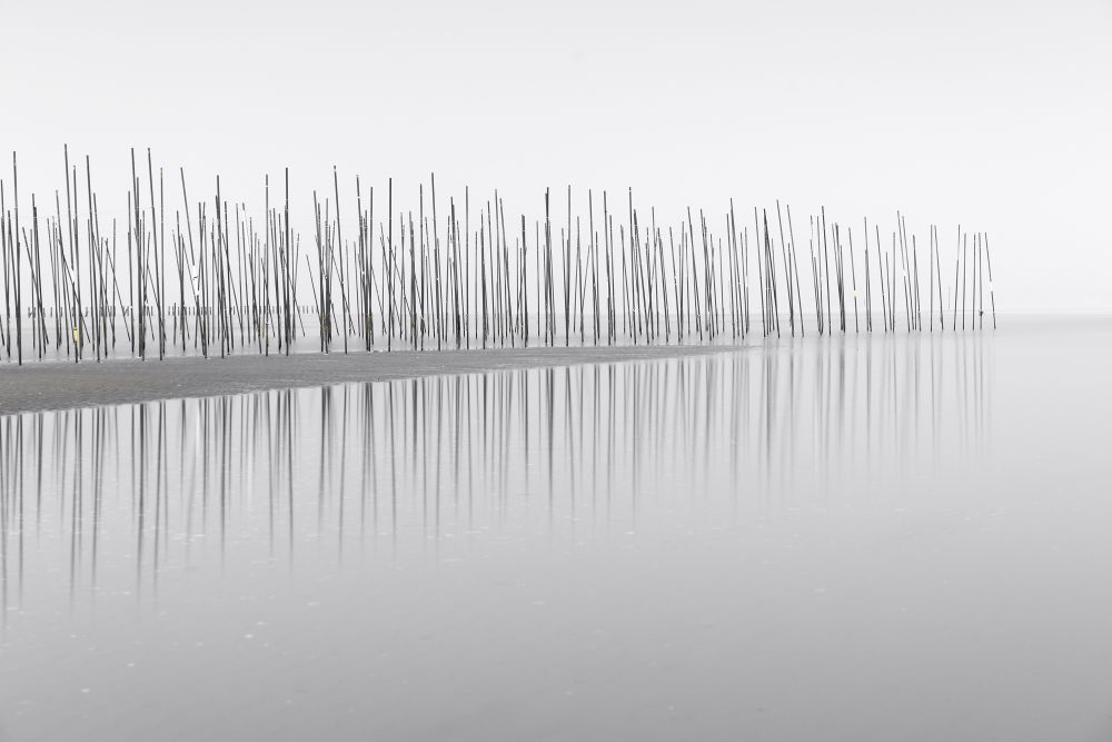 Signal to Noise Ratio, Japan.