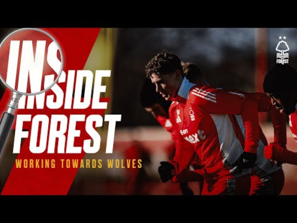 Inside Forest 🎥 | Preparing for Wolves 💪