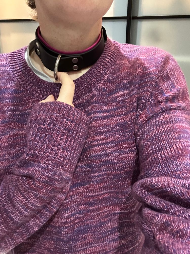 Loki in a big purple jumper and purple and black collar