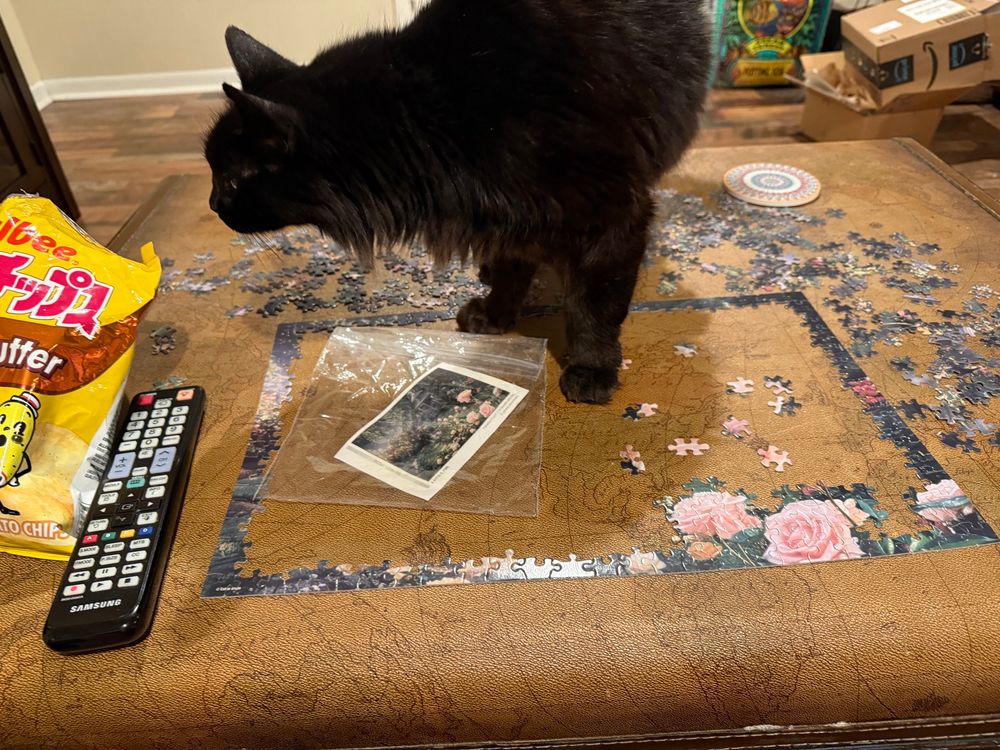 A fluffy black cat standing directly in the middle of a jigsaw puzzle in progress. 
