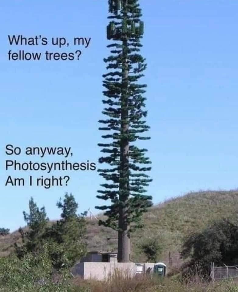 A tall cell tower disguised as a tree. Outdoor at the base of a hill. The cell tower tree is saying "Whats up my fellow trees? So anyway, photosynthesis, am I right?"