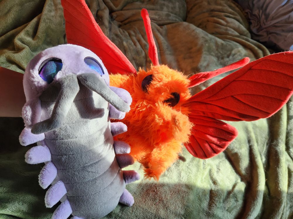 A photograph of a gret and purple plush isopod and a red and orange plush moth.  They are both a very huggable size and feature stitched segment details and veins on the wings of the moth.