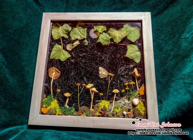 A silver shadowbox with a preserved cobweb on black velvet, mushrooms, moss, sticks, foliage, snail shells, and a preserved spider and butterfly
