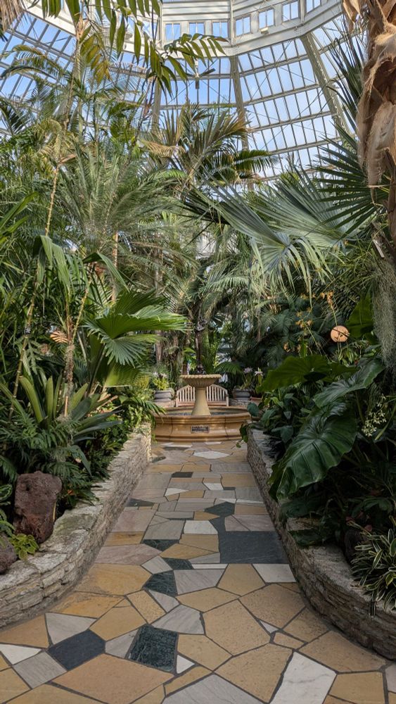 A path in the arboretum leading up to a circular fountain. Tropical plants surround the path. 