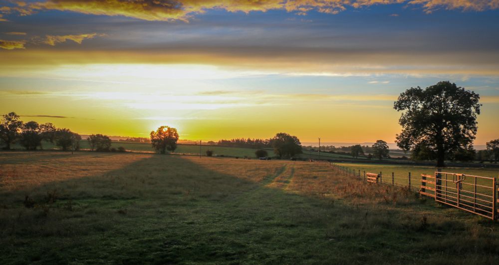 This image depicts a serene rural landscape at sunrise. The dominant feature is a wide expanse of green fields, likely pastures or meadows, stretching across the foreground and midground. A long shadow cast by the rising sun extends across the grassy terrain, indicating the low angle of the sun.
In the midground, several trees are visible, with one prominent, mature tree on the right side of the frame and another, smaller tree silhouetted against the bright horizon on the left. A wooden fence, possibly marking a property line or livestock enclosure, runs along the right side of the field, leading towards a metal gate. In the distance, the landscape appears to gently roll, with more trees and what looks like a distant treeline or horizon.
The sky is a striking element, showcasing the vibrant colours of sunrise. A brilliant golden red-orange glow emanates from the horizon where the sun is rising, transitioning into softer yellows and blues higher up. Clouds are scattered across the sky, with some catching the warm light of the sun and others appearing darker against the brighter hues. The overall impression is one of peacefulness and natural beauty at dawn.
