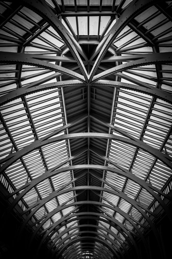 The image displays a detailed view of the interior architecture, specifically the ornate roof structure, of the Grand Gallery within the National Museum of Scotland in Edinburgh. 
Architectural Features: 
Arched Structure:
The image highlights a series of symmetrical, arched iron or steel trusses that form the support system for the roof.
Glass Paneling:
The arches are interspersed with numerous rectangular glass panels, allowing natural light to flood the space below.
Central Vault:
A prominent central vaulted section runs the length of the depicted area, creating a sense of depth and grandeur.
Geometric Patterns:
The intricate arrangement of the arches and panels creates a repeating geometric pattern, emphasising the structural design.
Monochromatic Tone:
The photograph is presented in a muted, possibly black and white or sepia tone, which emphasizes the architectural lines and textures without the distraction of color.
Contextual Information:
The Grand Gallery's design, inspired by structures like London's Crystal Palace, was envisioned by engineer Captain Francis Fowke and architect Robert Matheson. 
This space is known for its soaring pillars and high windows, serving as a central feature of the museum. 
The museum's main hall, completed in 1874.